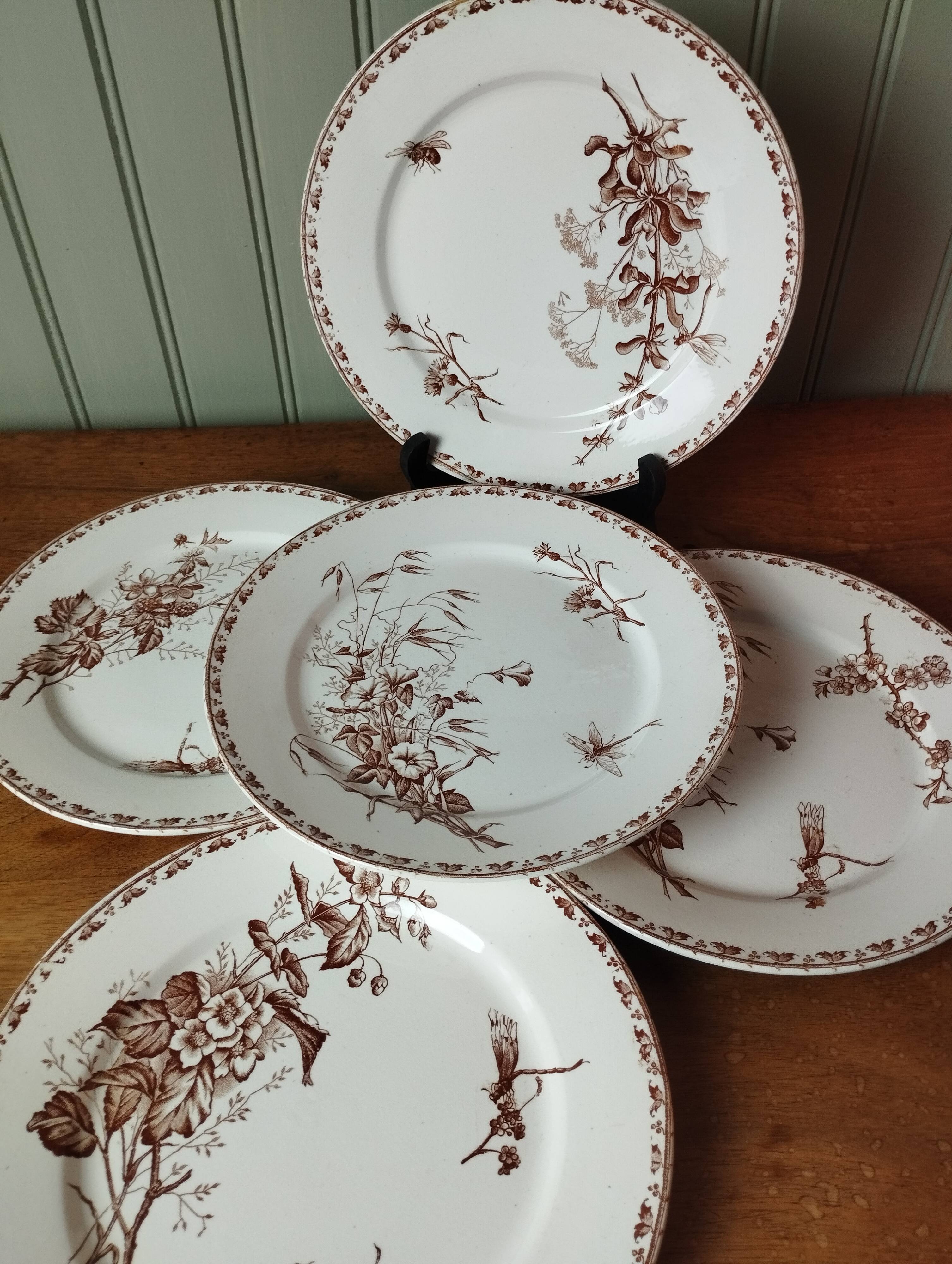 "Carmen" - 5 flat plates ø 23.5cm ironstone Sarreguemines U&C