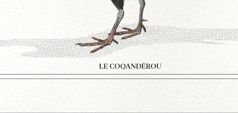 Chimera lithograph animal engraving - the coquandérou