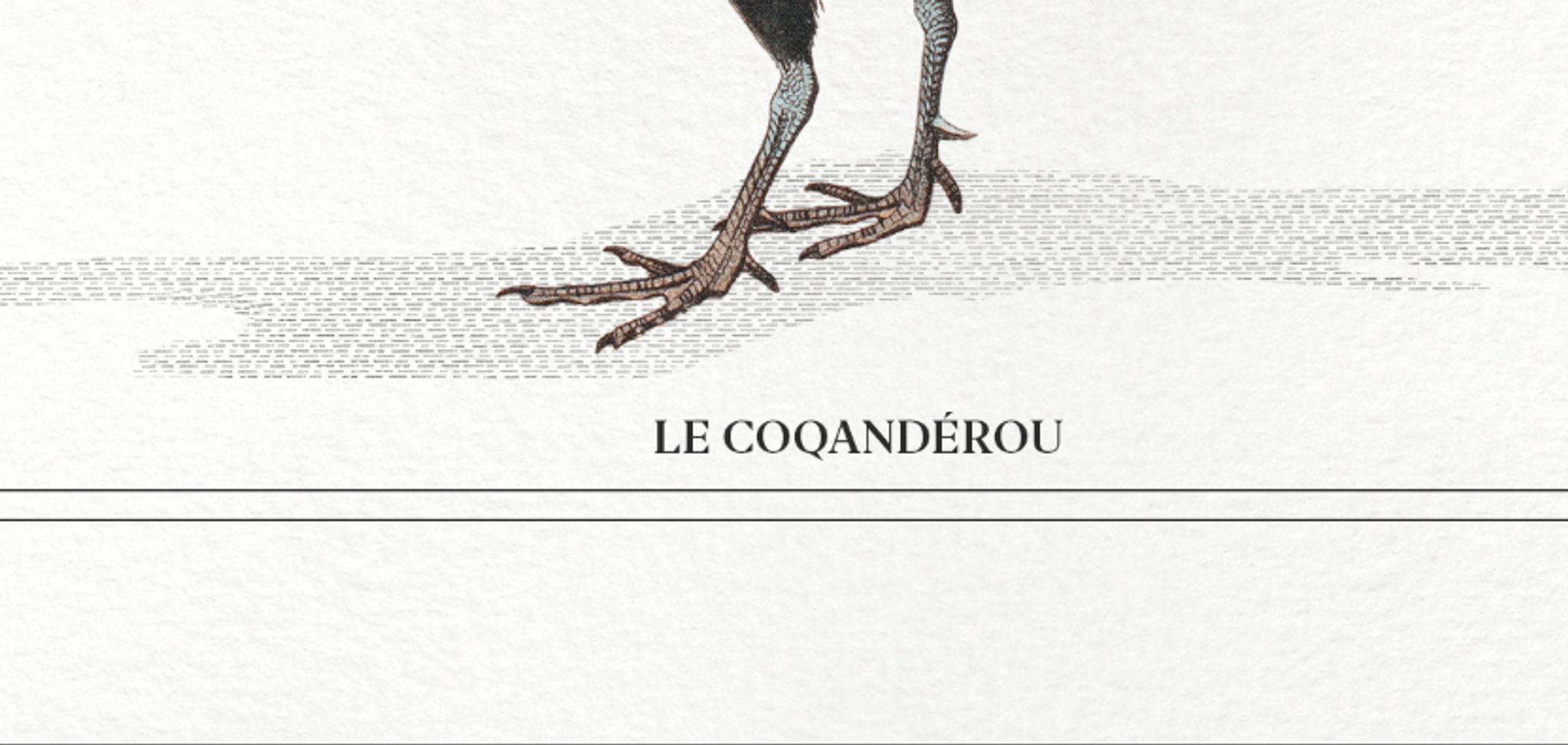 Chimera lithograph animal engraving - the coquandérou