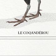 Chimera lithograph animal engraving - the coquandérou
