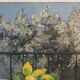 Les citrons - Huile sur toile - Bernard Neveu XX°