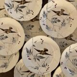 13 decorative plates with hummingbird design in fine earthenware by Mouzin Lecat, 19th century.