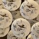13 decorative plates with hummingbird design in fine earthenware by Mouzin Lecat, 19th century.