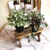 Small wooden farm bench