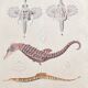 Affiche lithographie hippocampe