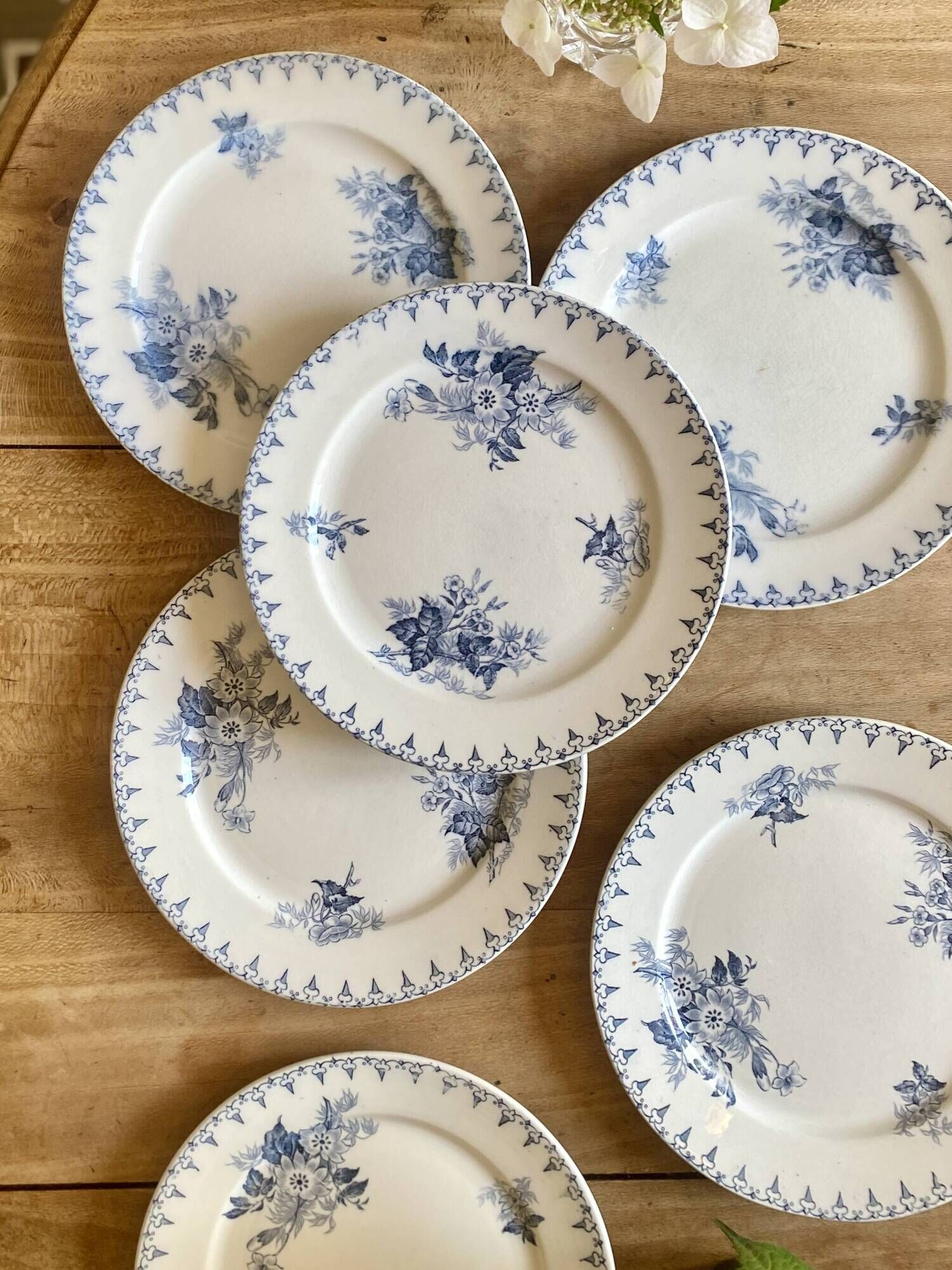 Set of 6 old dessert plates - Flore de Sarreguemines