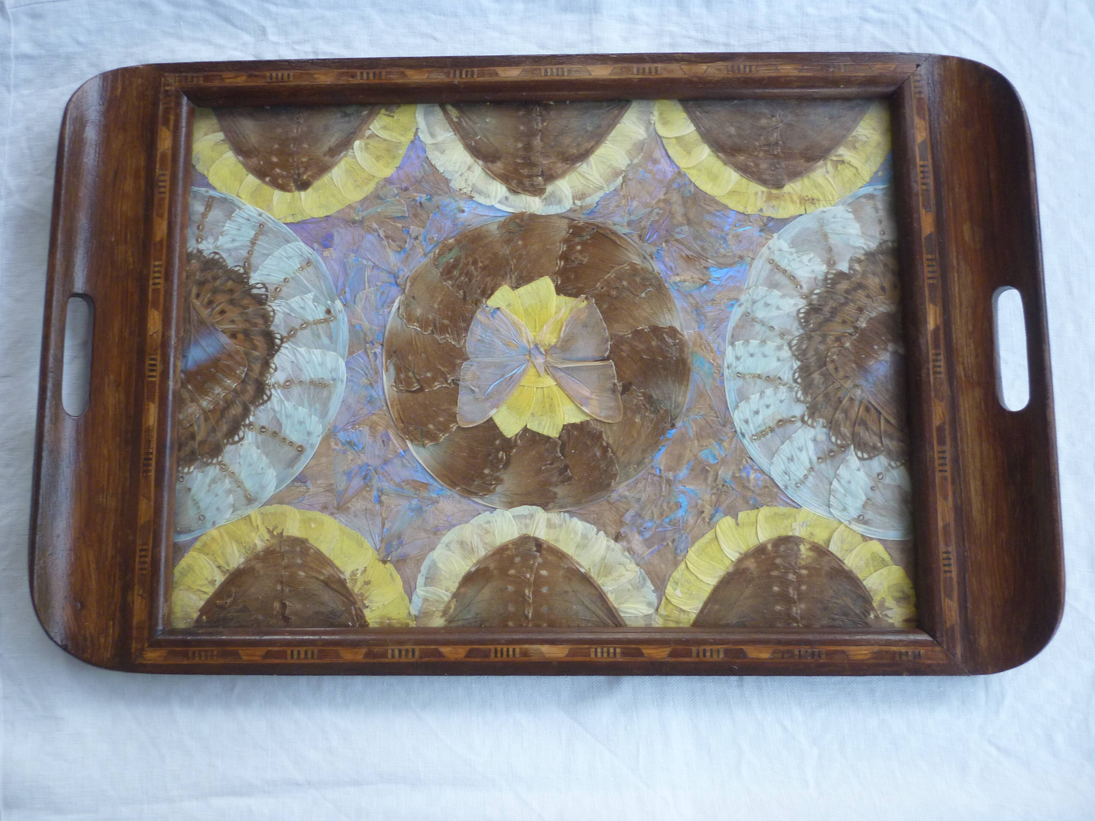 Butterfly wing top and wood marquetry