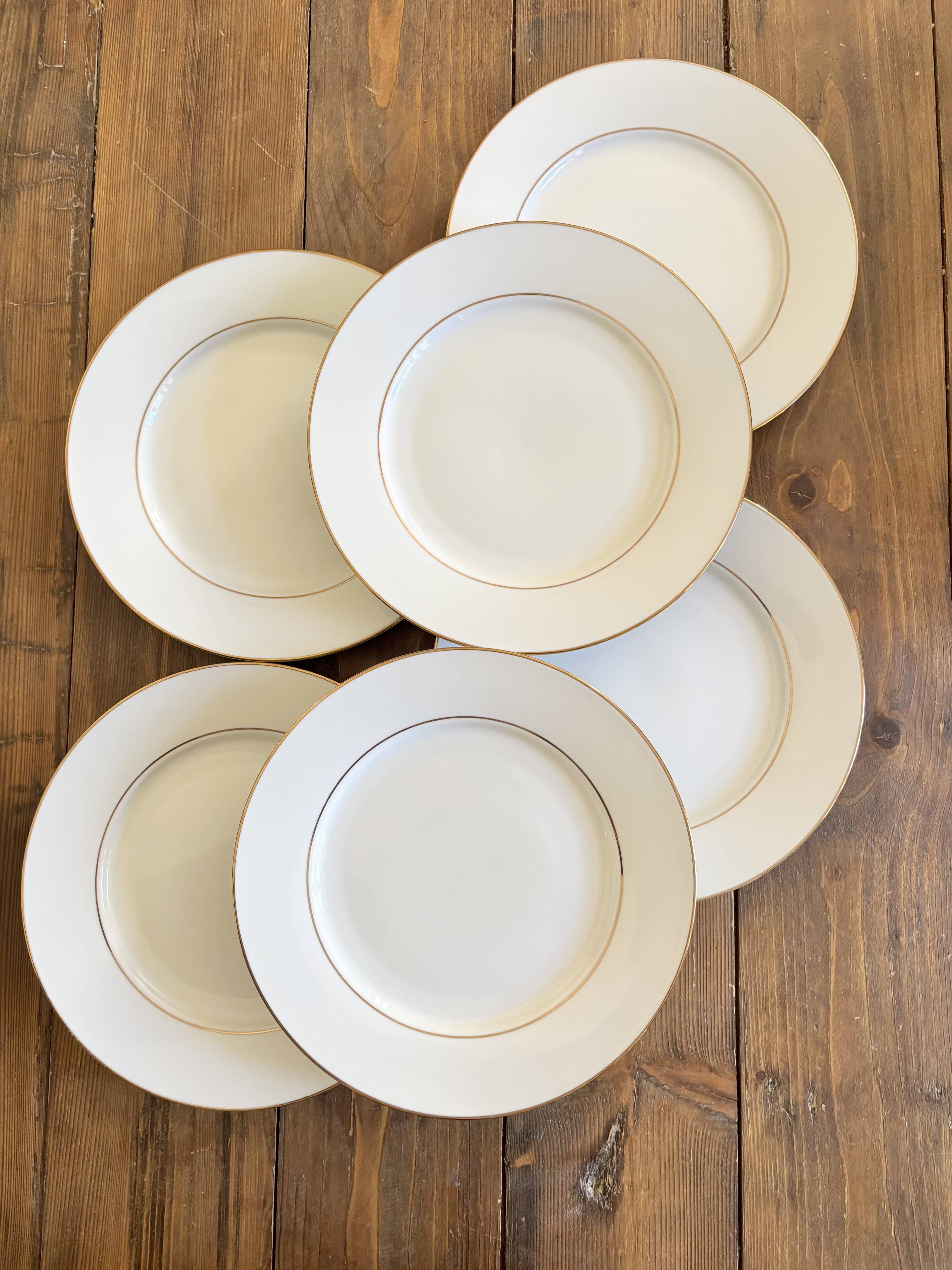 6 flat plates in cottage porcelain