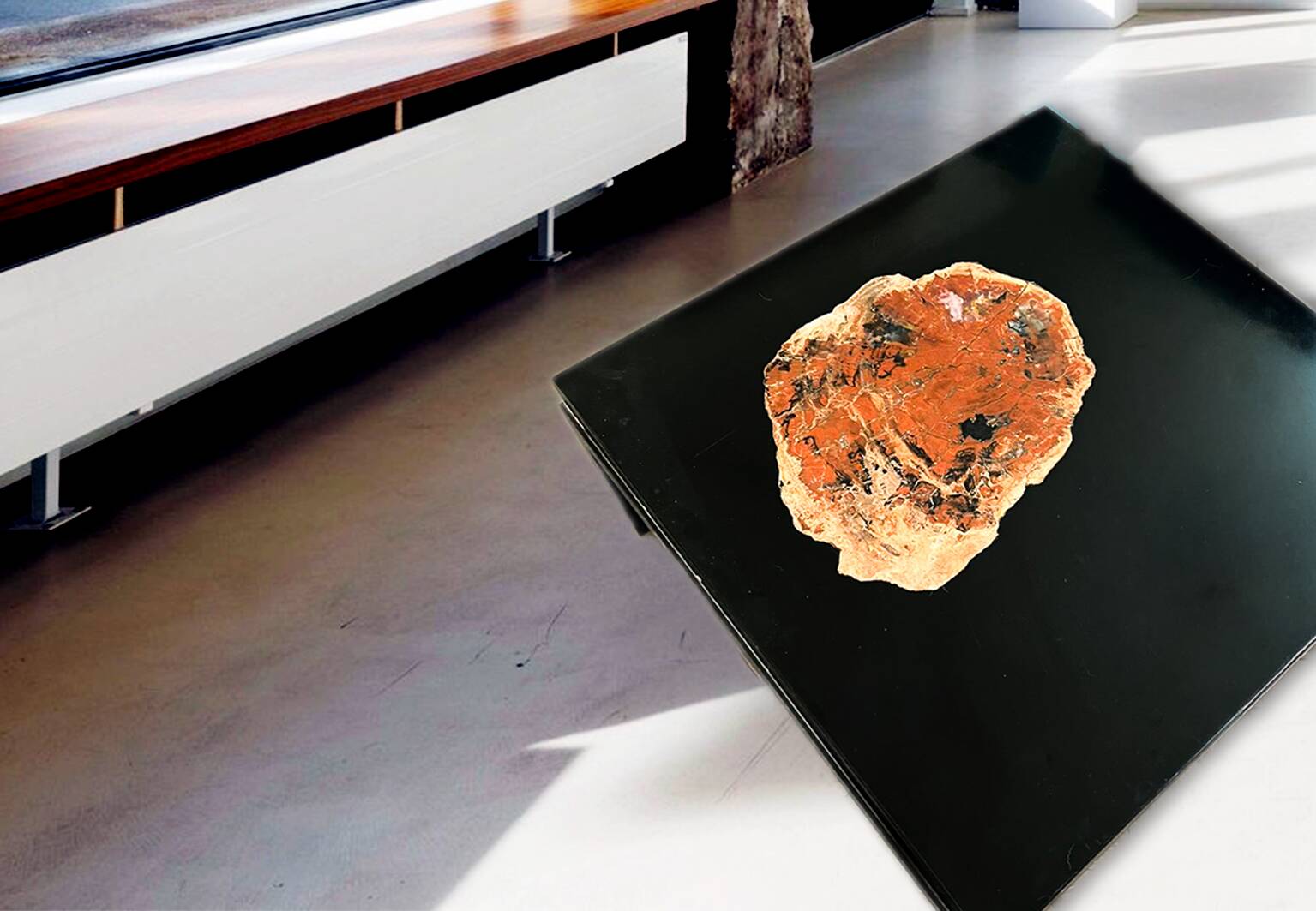 Aldo Chale coffee table - made of petrified wood from Arizona, resin, and lacquered wood.