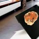 Aldo Chale coffee table - made of petrified wood from Arizona, resin, and lacquered wood.
