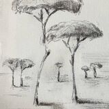 Painting signed charcoal on canvas with wooden frame “provence umbrella pines”