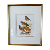 Birds - collection Hepatior N ° 2