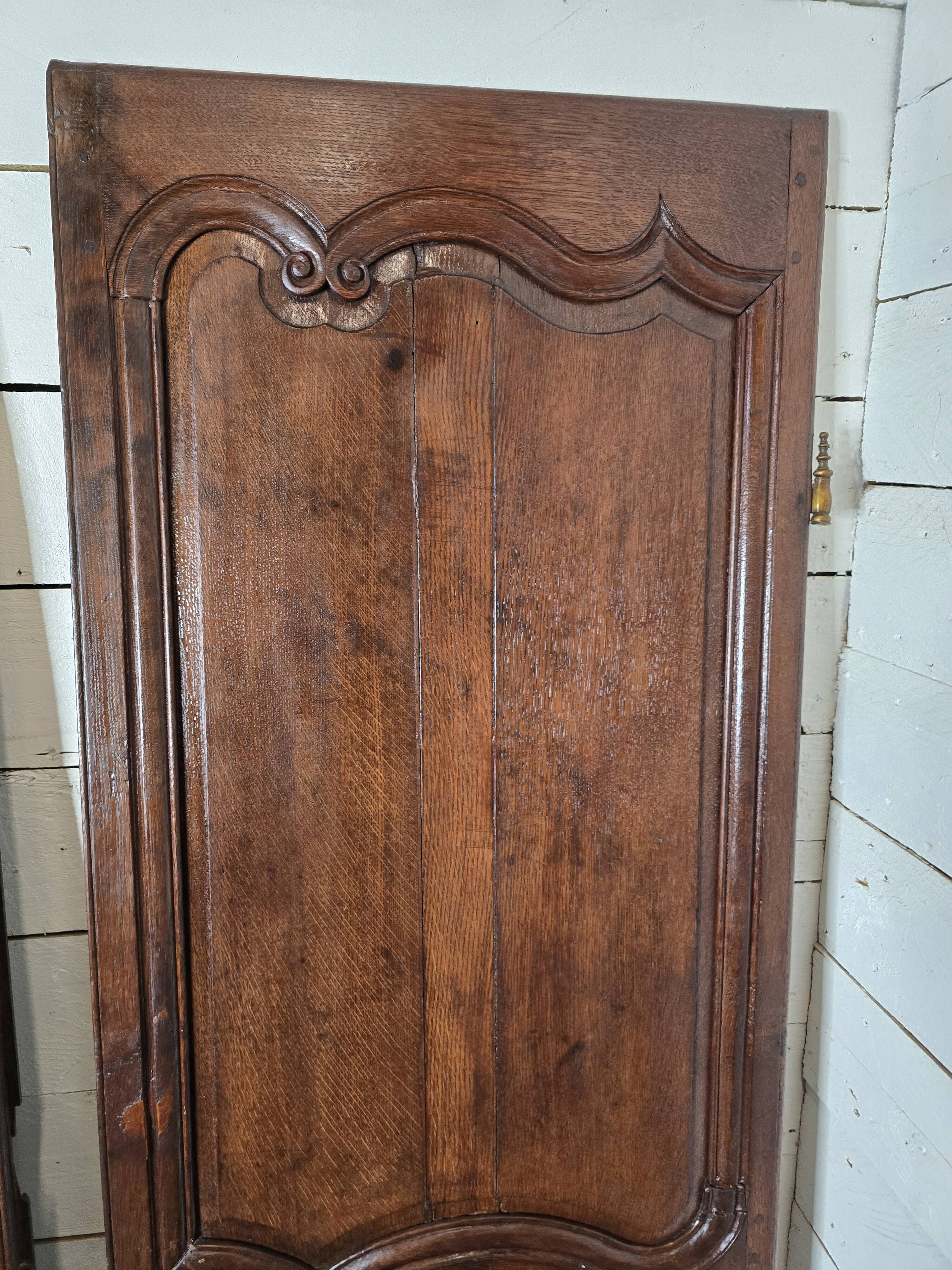 Pair of 19th century oak doors
