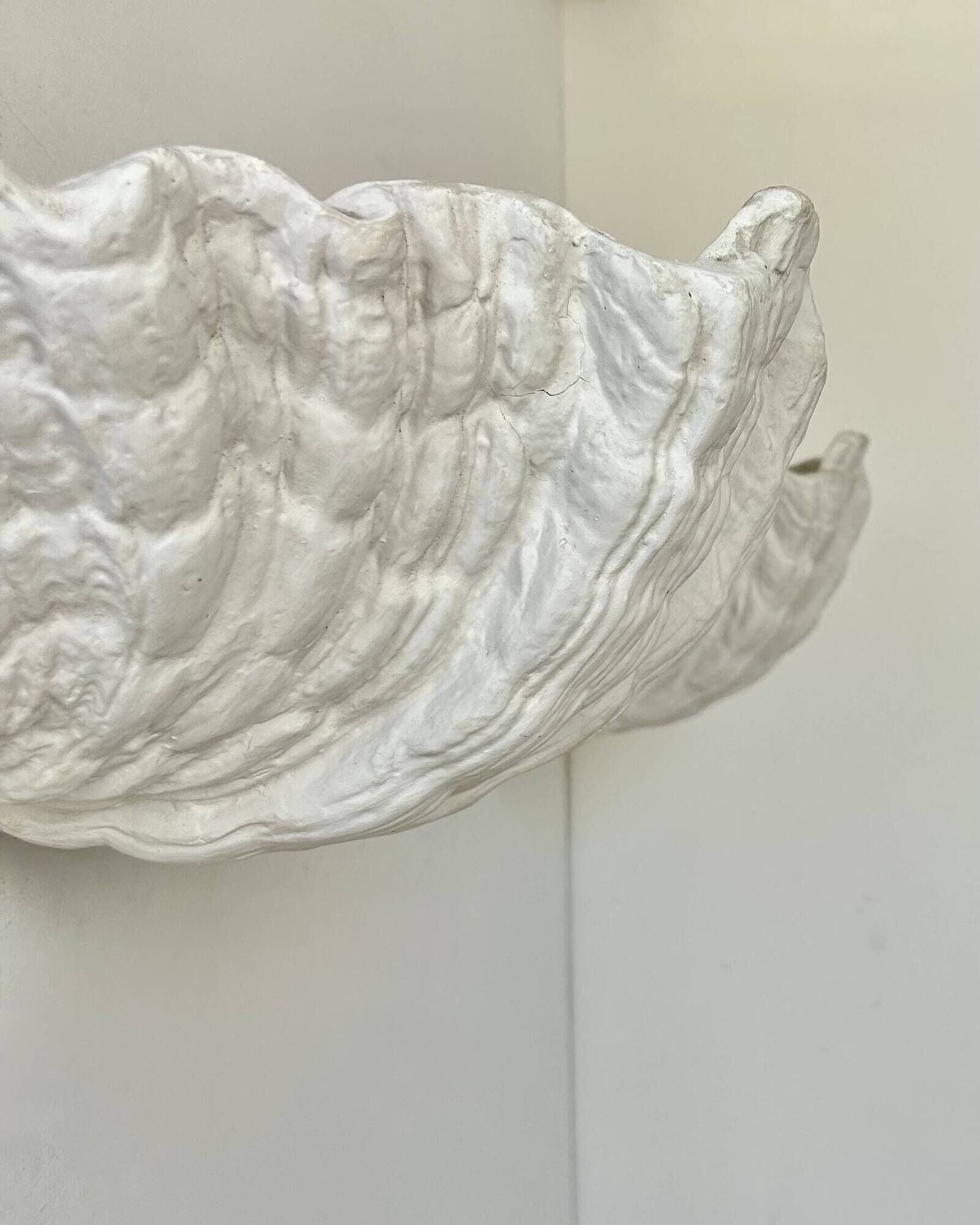 Pair of XL vintage shell plaster wall lights, France, attributed to S. Roche.