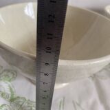 Set of 2 large Sarreguemines bowls - Vintage