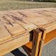 Vintage coffee table by Roger Capron, herbarium model