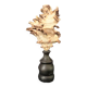 Hexaplex Cichoreum shell on turned wooden base, old cabinet of curiosities on foot