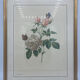 Cadre lithographie vintage