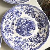 Set of blue English plates