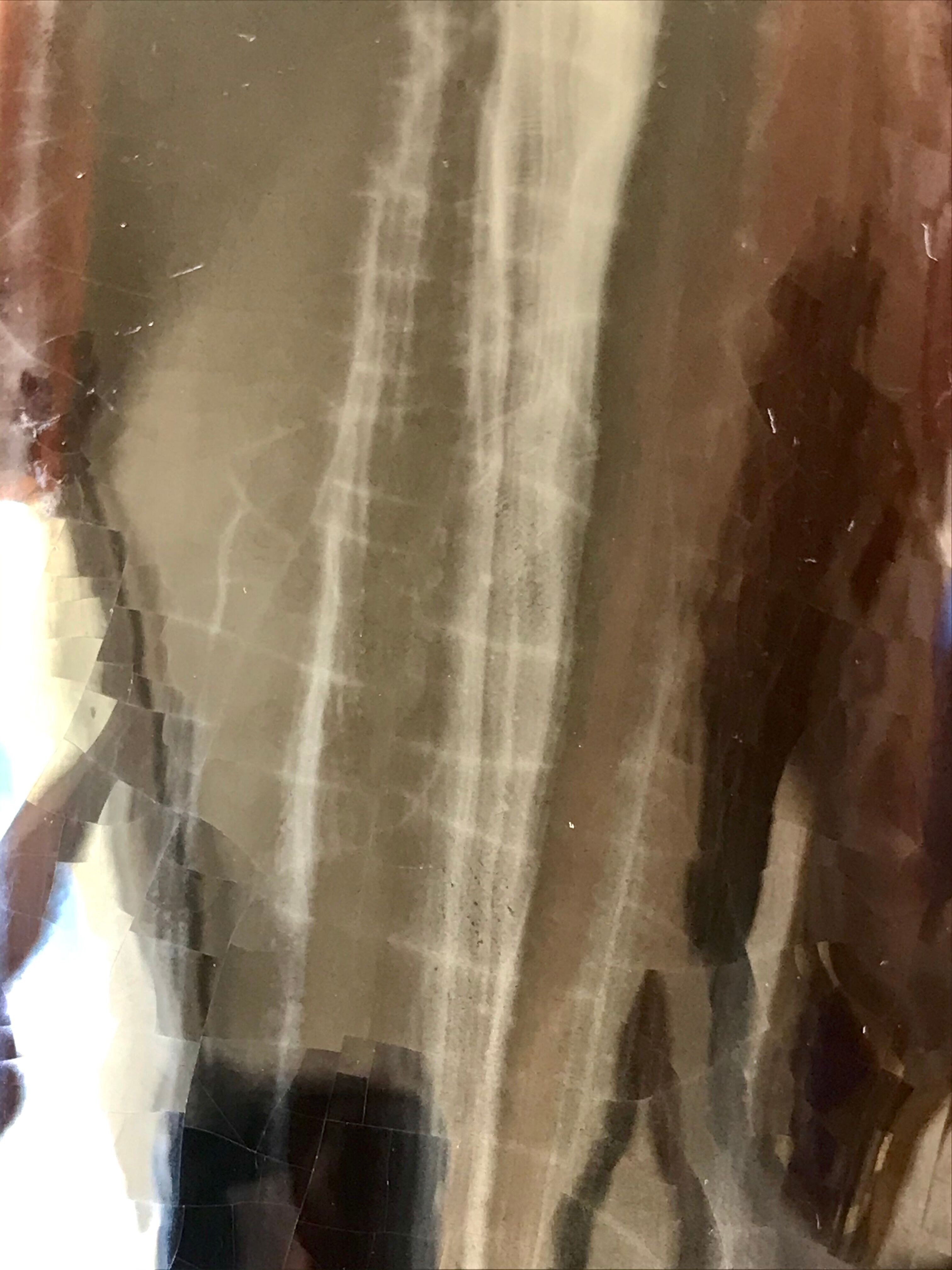 Pair of vases Vallauris Jérôme Massier