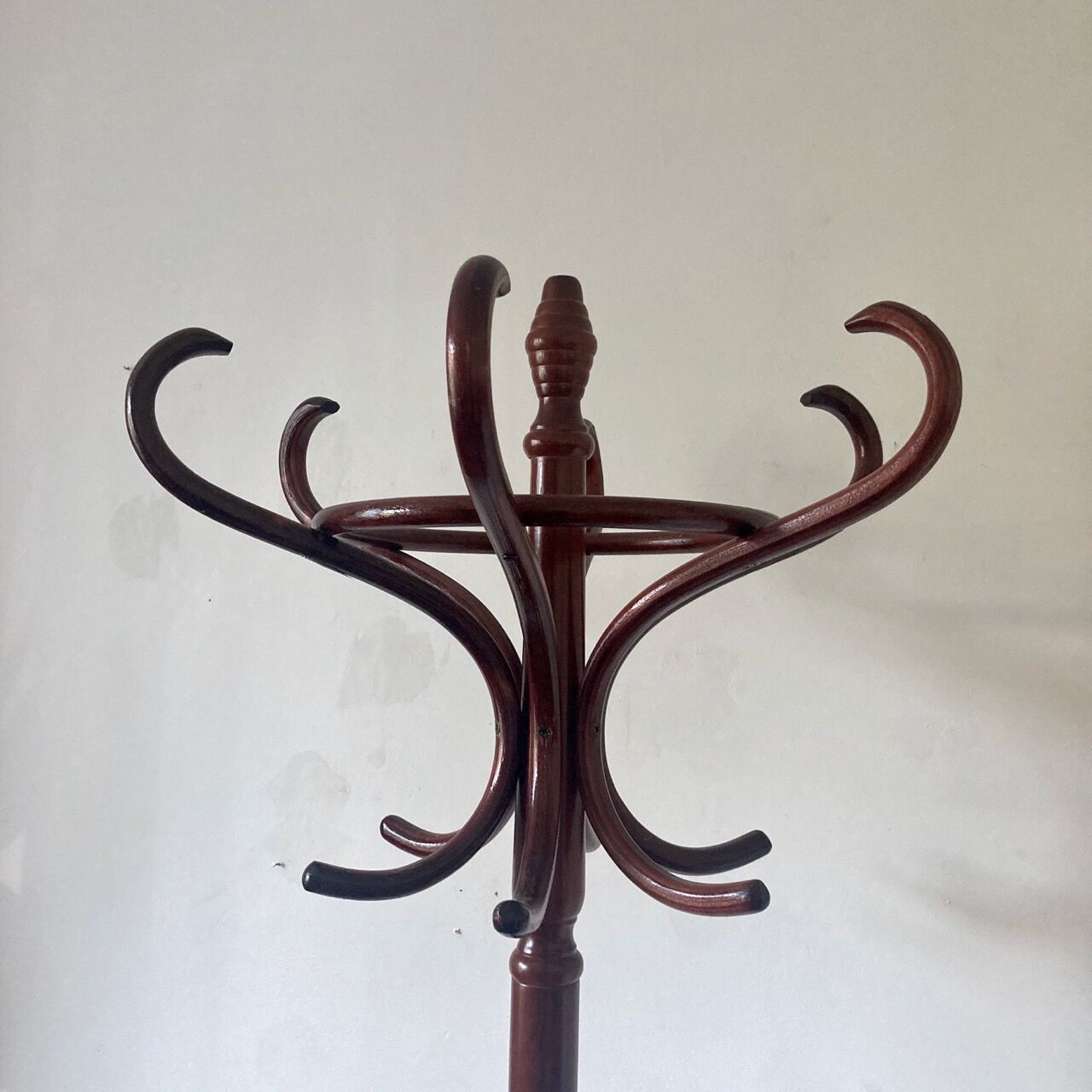 Parrot coat rack