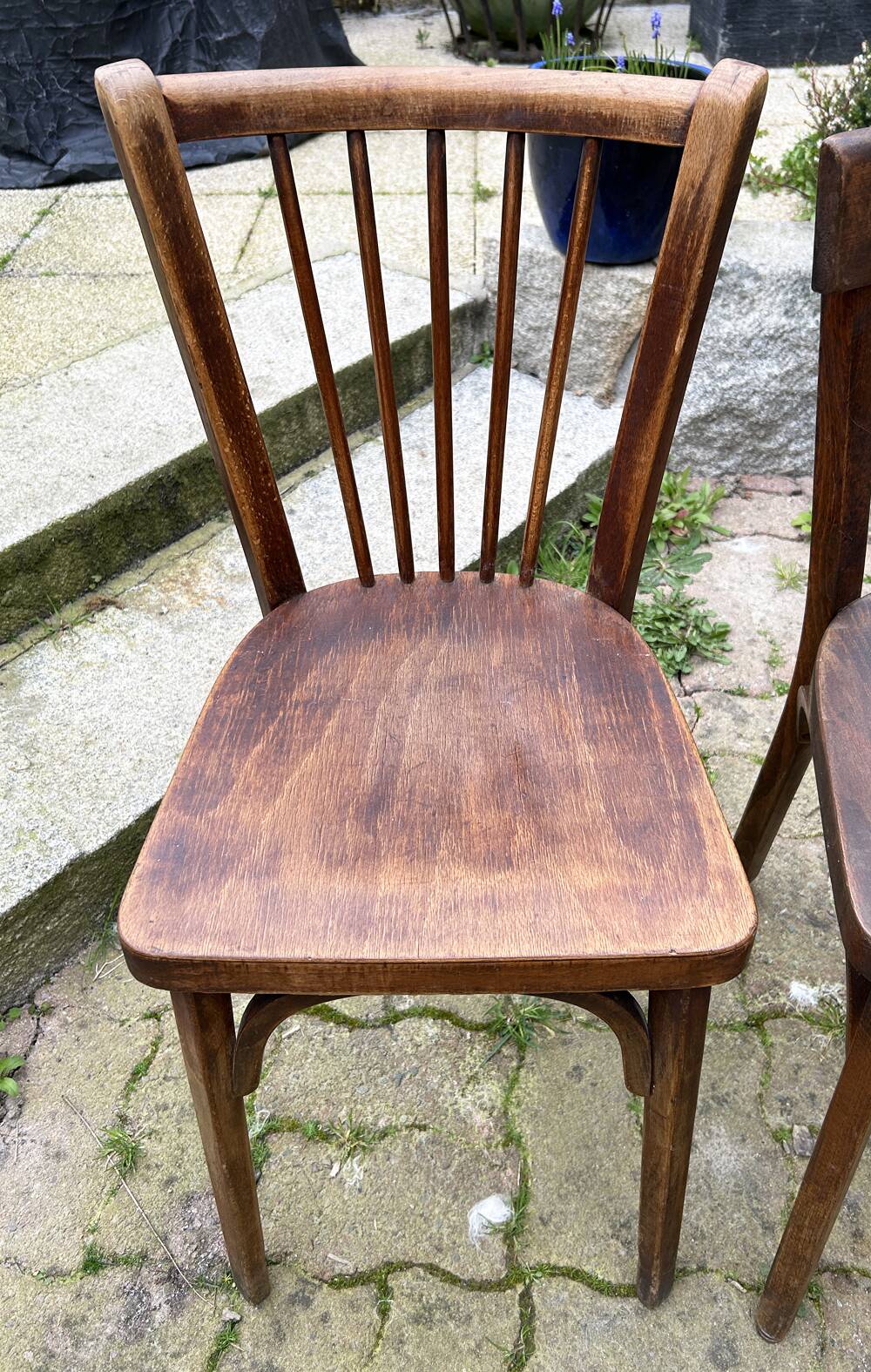 Set of 8 vintage bistro chairs, 50s, 60s, dark oak.