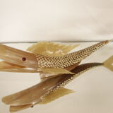 Fish Horn - Vintage 60s/70s