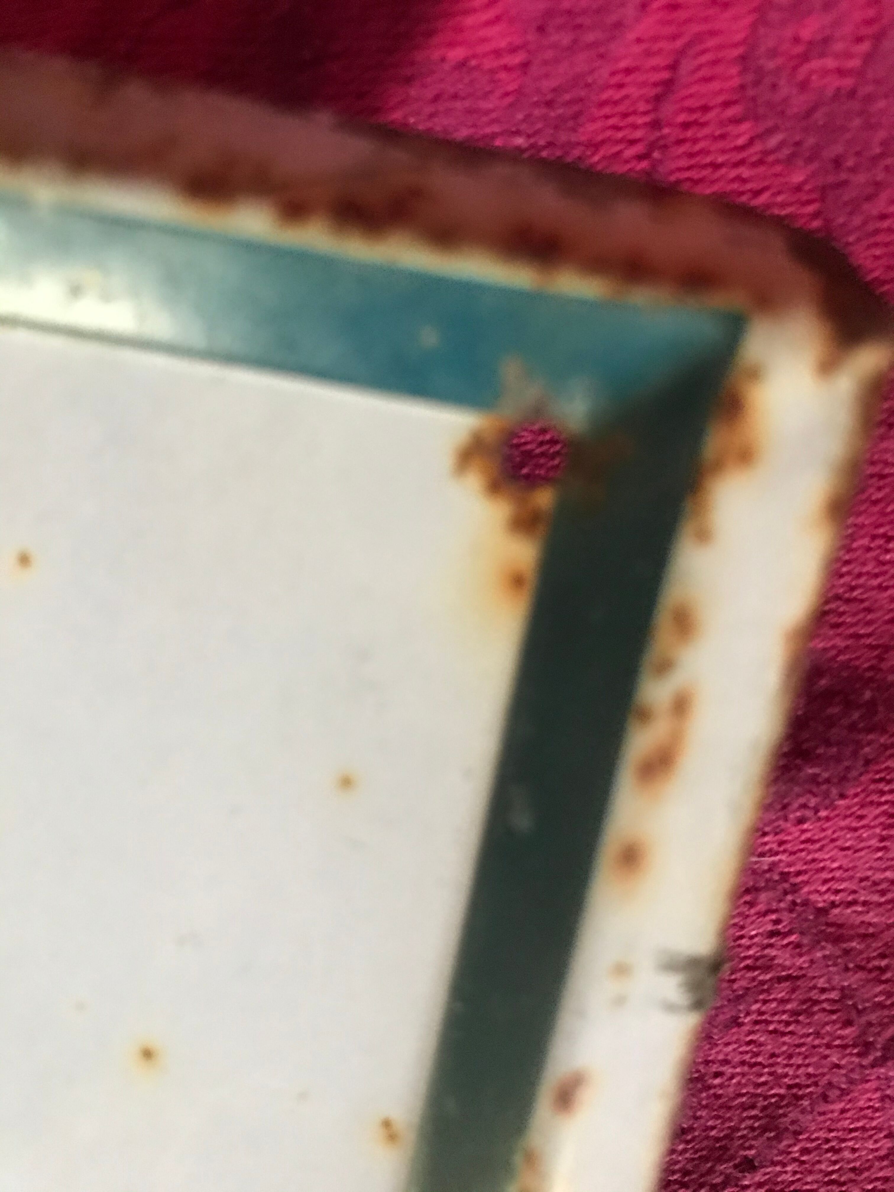 Michelin bibendum comfort sheet