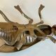 Vintage fly ashtray in patinated metal