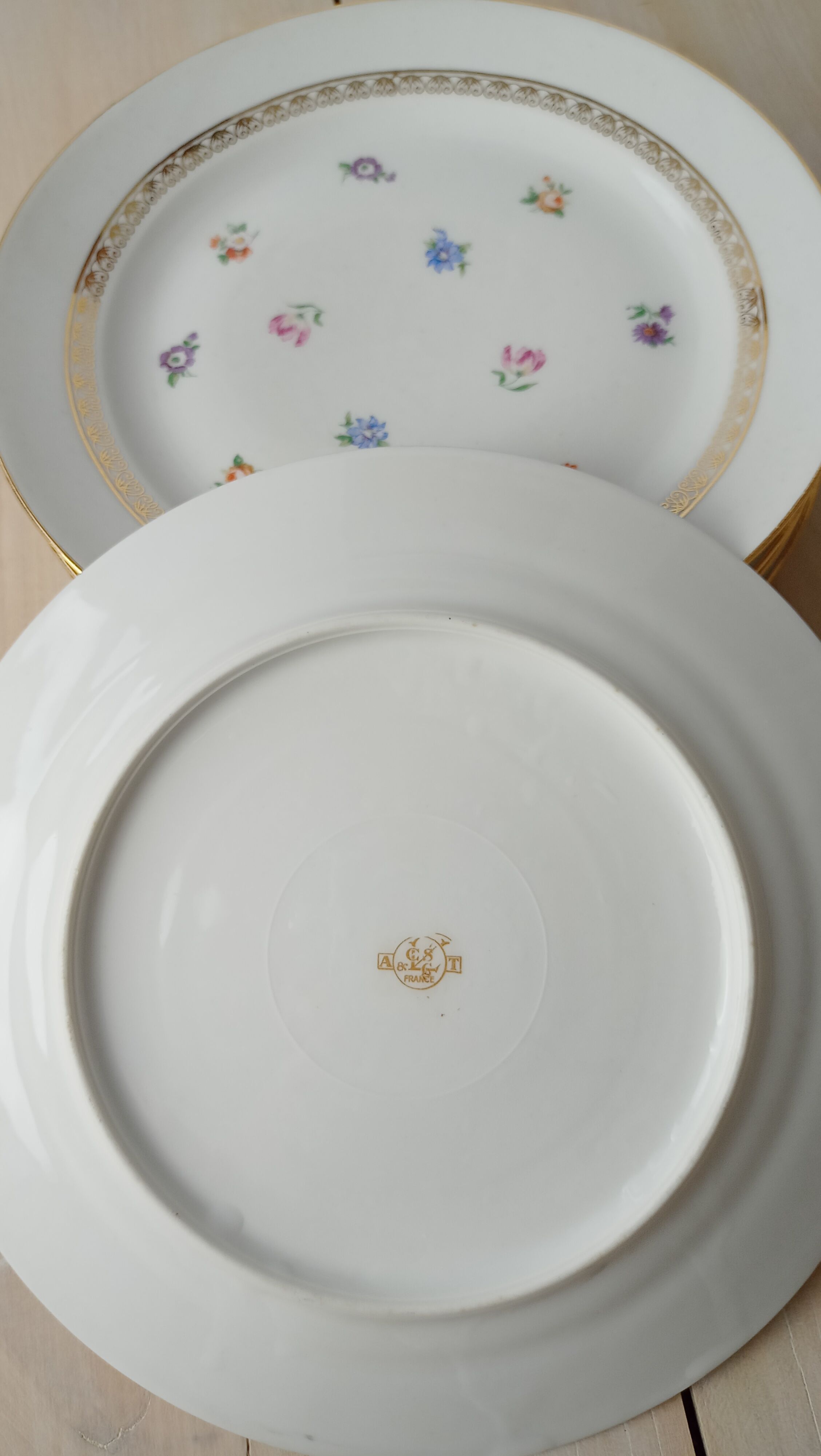 6 Limoges porcelain plates