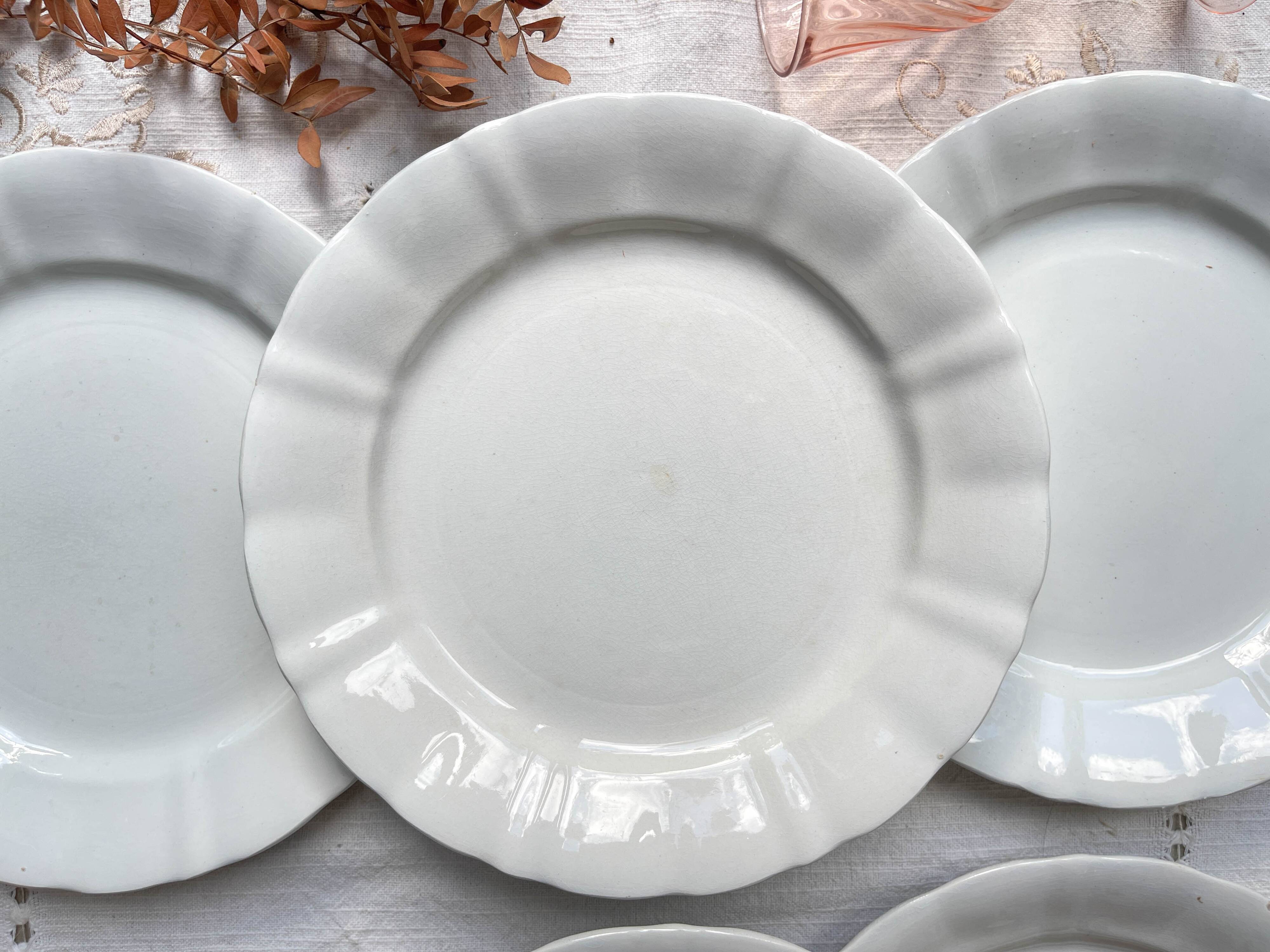 12 Vintage Terre de Fer White Plates + Small Gold White Porcelain Plates LIMOGES