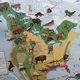 Vintage school map mdi North America-Asia Wildlife