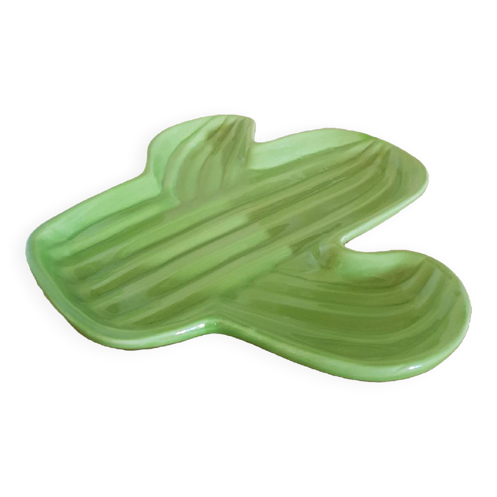 Empty vintage pocket cactus shape