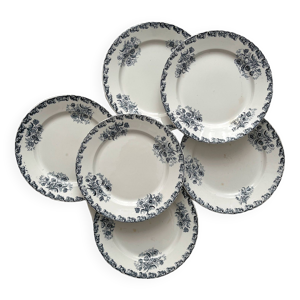 6 assiettes plates en