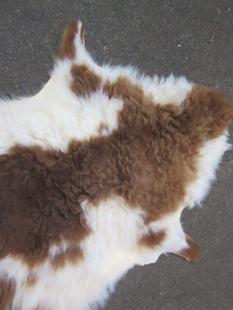 Peau de mouton
