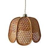 Electrified rattan suspension to nine