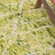 Berber rug natural wool Morocco 2.5 x 1.5 m