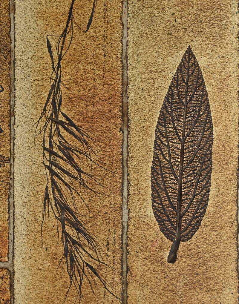 Coffee table signed R. Capron, Les Herbiers Collection, Vallauris – 1960