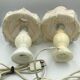 Pair of bedside lamp with vintage fringed shade