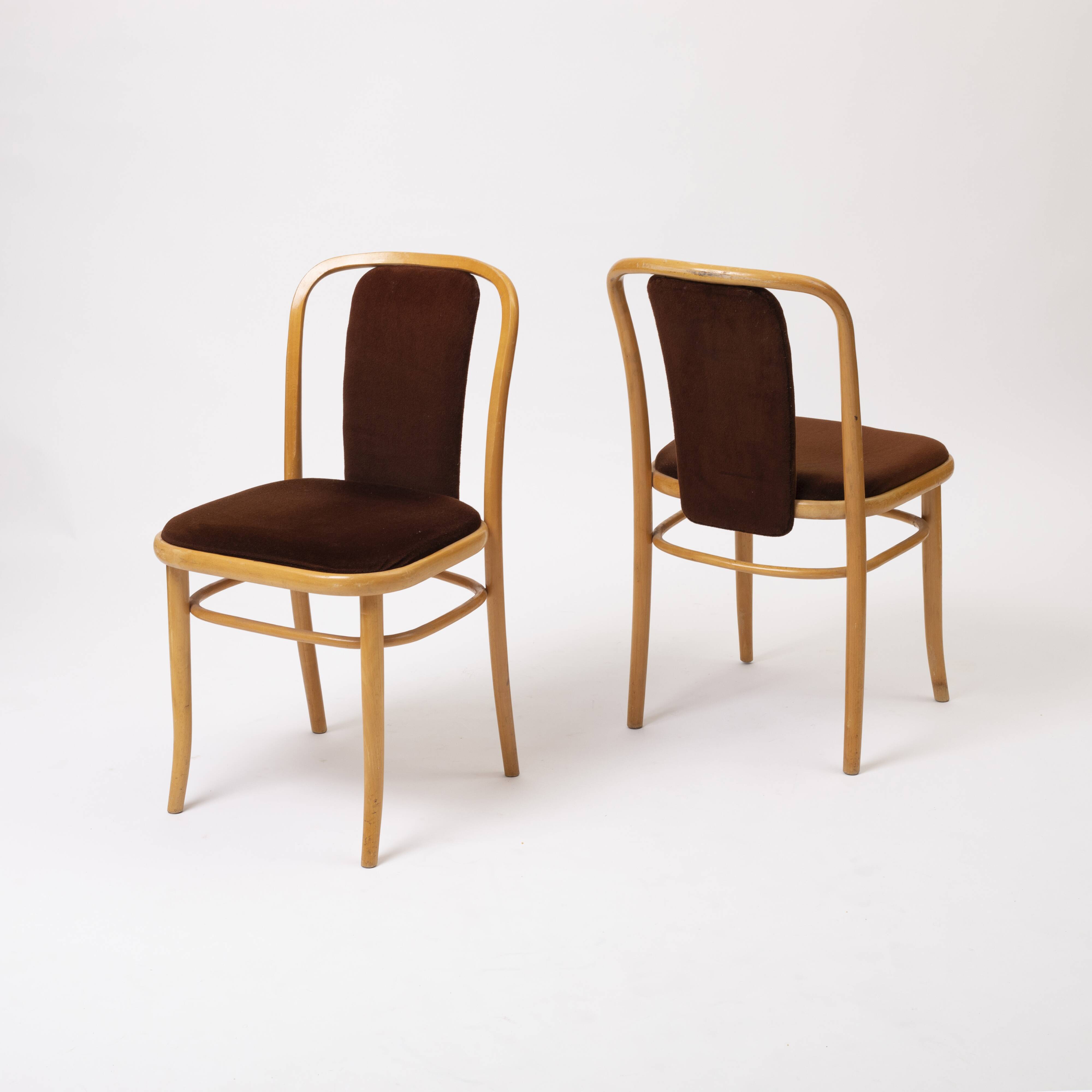 Set of 2 bentwood chairs in brown velvet by TON