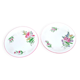 2 assiettes en faïence de Lunéville modèle Réverbère