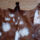 New goat skin