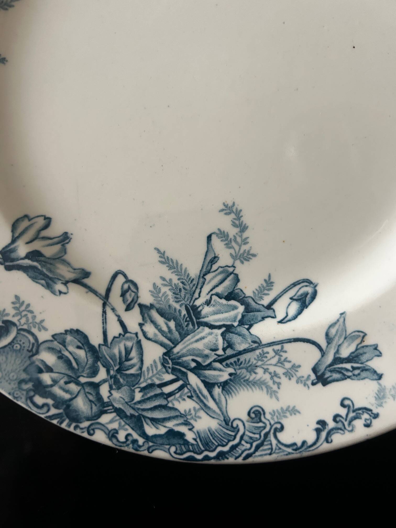 13 flat plates Terre de Fer Louis Graves