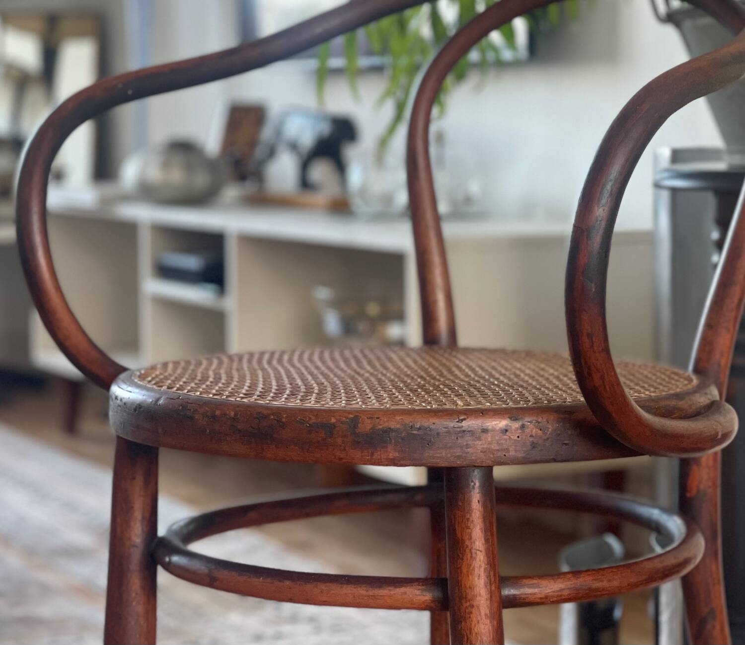 Bentwood armchair, Jacob & Josef Kohn