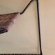 Wall shelf, metal and rattan