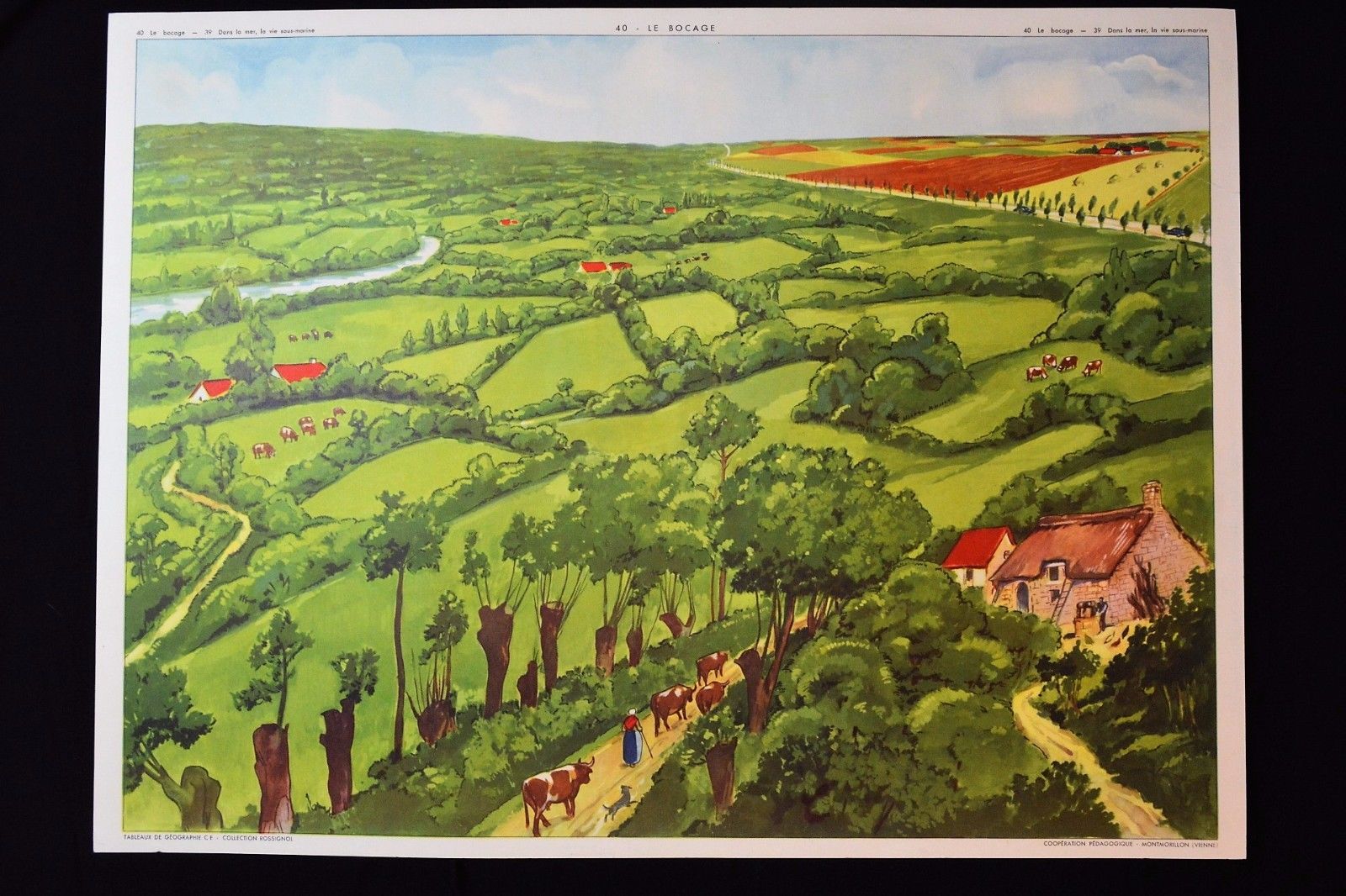 Old poster Nightingale