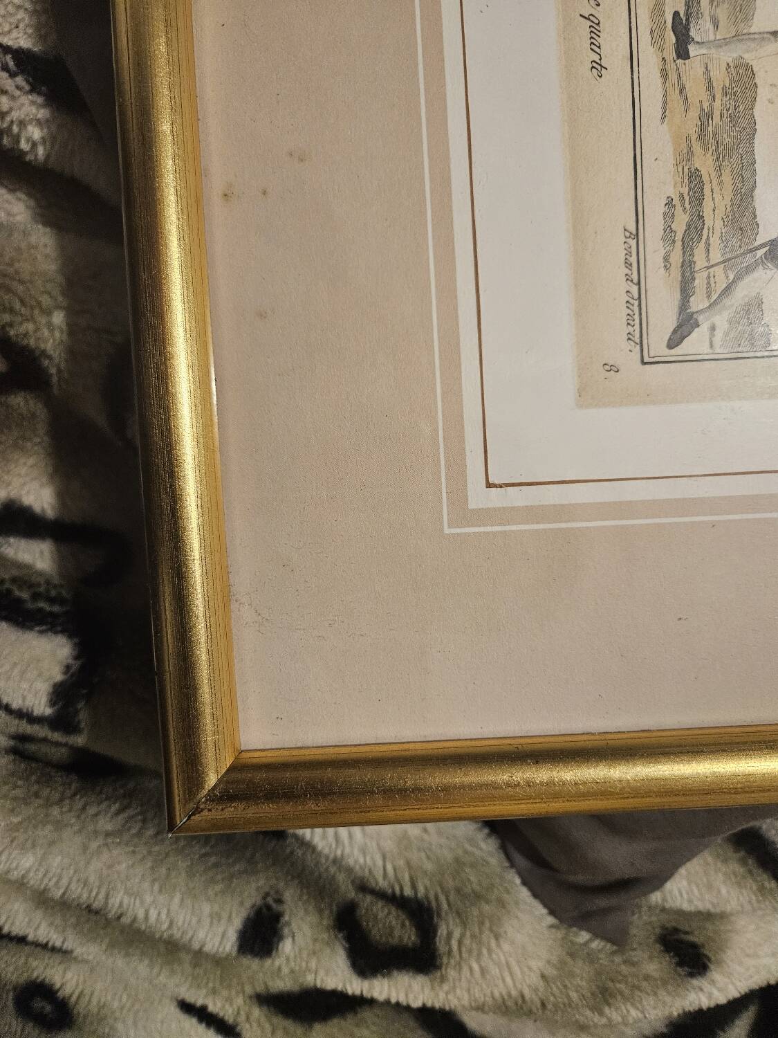 18th century engraving paintings - Fencing - Robert Benard