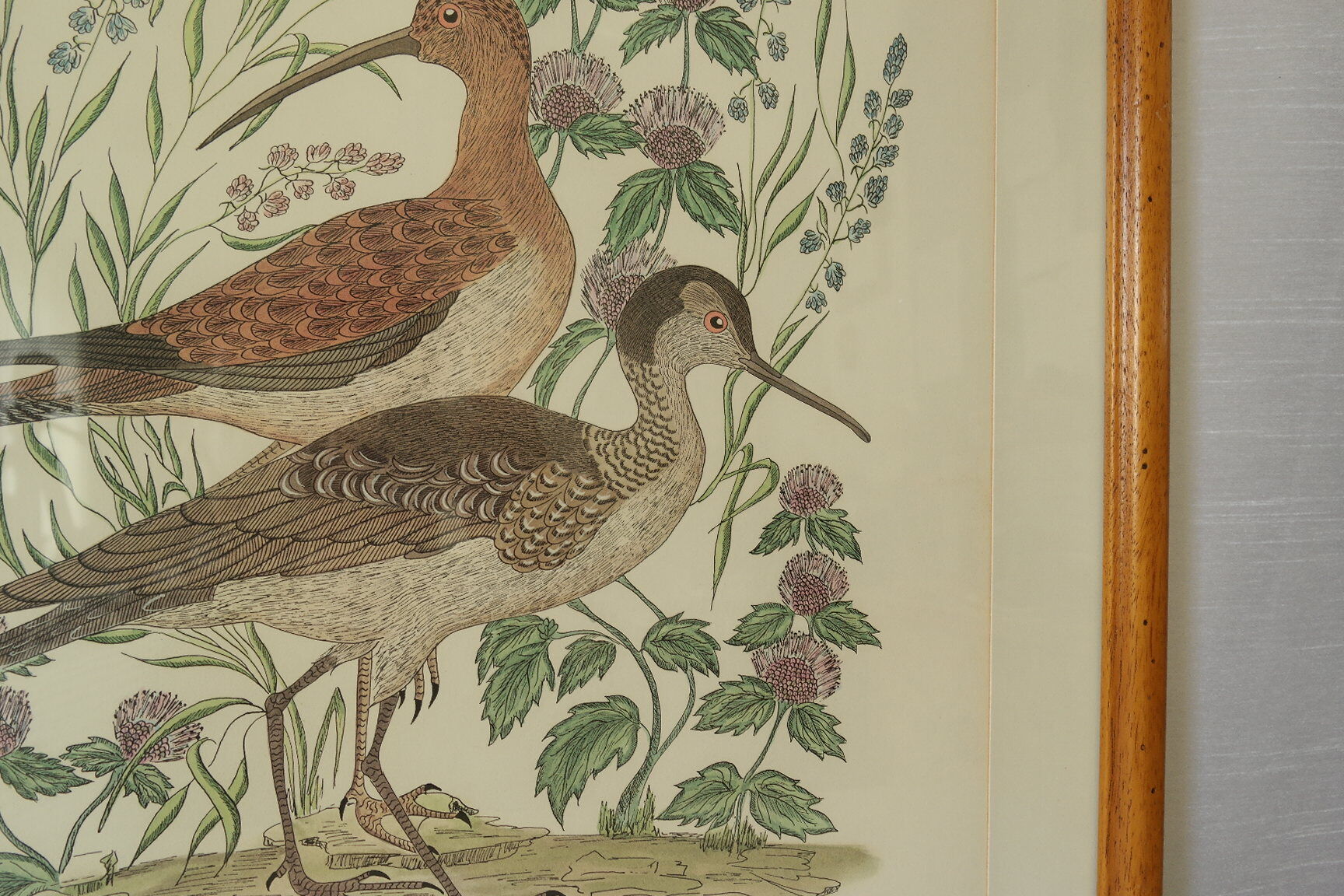 Tableau vintage aquarelle ducks of terronblan monbaly dayelle