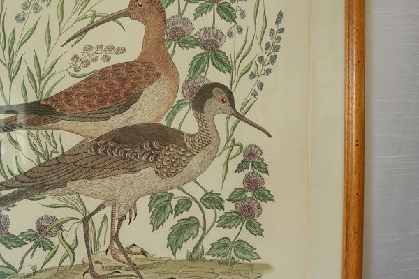 Tableau vintage aquarelle canards de terronblan monbaly dayelle