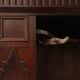 French 16th Century Antique oak hand carved wardrobe